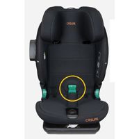 Детское автокресло CASUAL Goldsfix PRO i-Size (Кэжуал ГолдФикс Про ай-сайз)