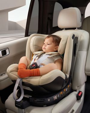 Welldon Smart Rotate 2 PRO Plus (Вэлдон Смарт Ротэйт 2 Плюс)