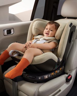 Welldon Smart Rotate 2 PRO Plus (Вэлдон Смарт Ротэйт 2 Плюс)